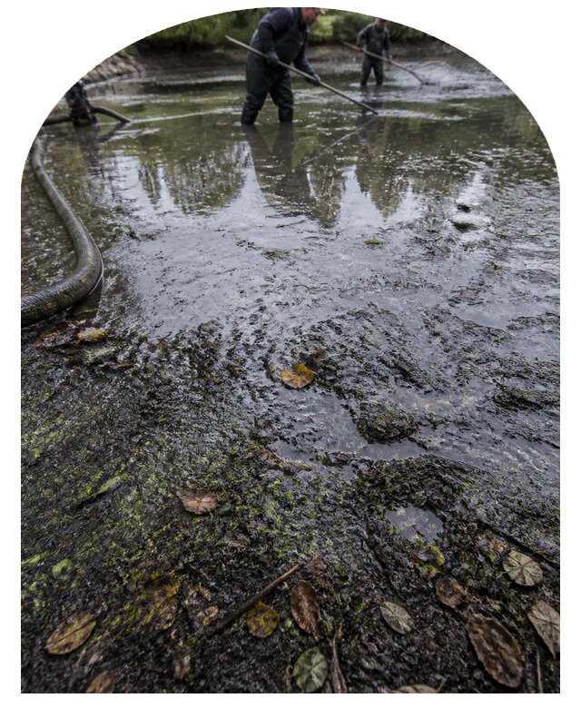 Очистка пруда в Якутске от ила мусора и водорослей с вывозом